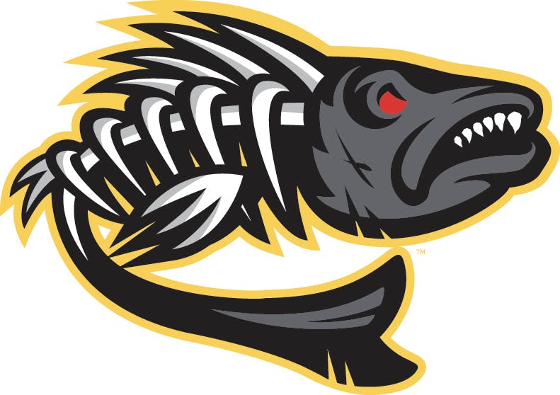 bonefish-yellow-outline-6696892342c6f.jpg