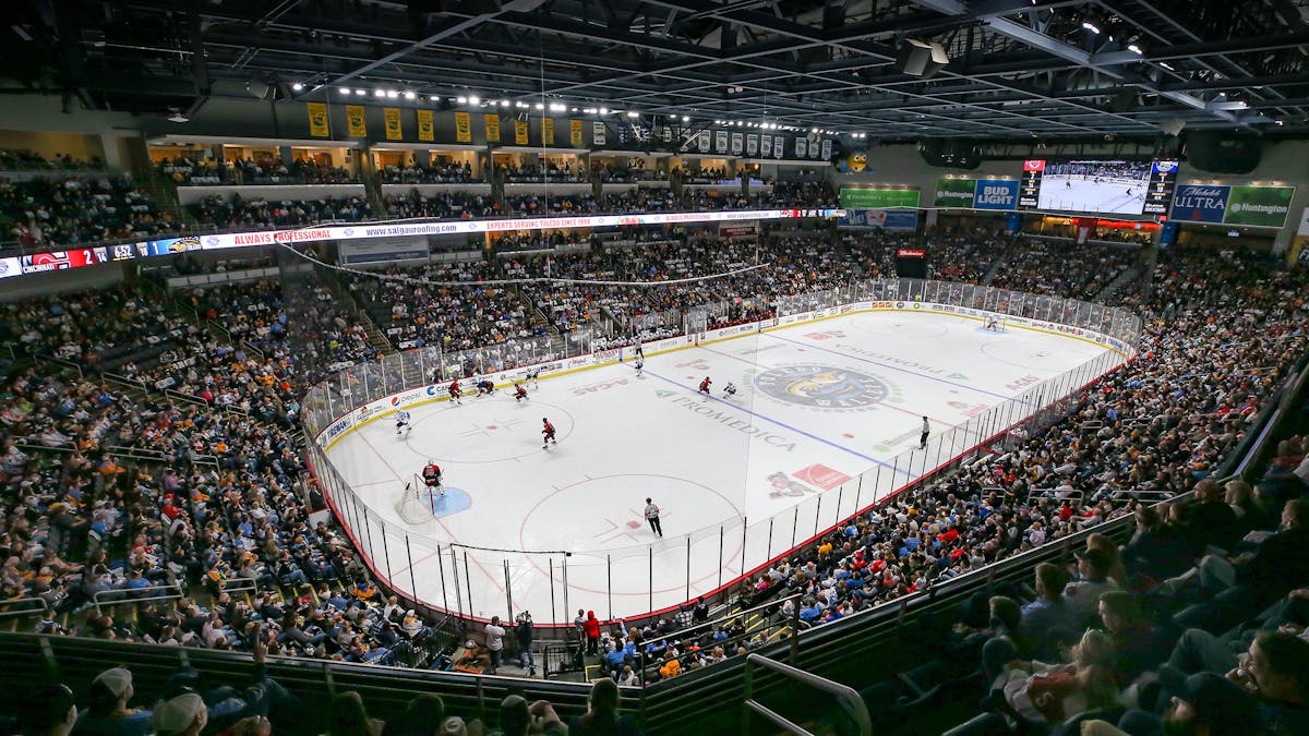 Walleye add in a forward and bring back Myer