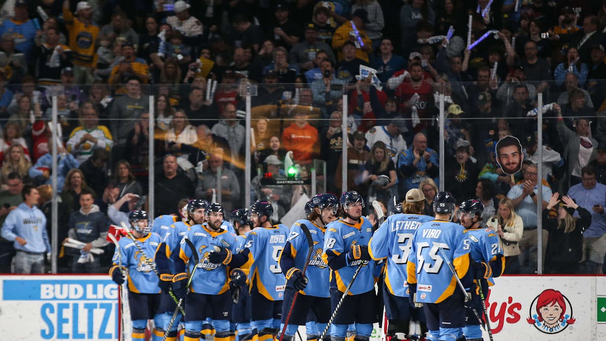 Walleye announce 2023 protected list