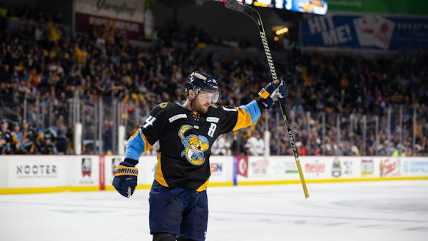 Walleye Weekly Release No. 8: December 13, 2021