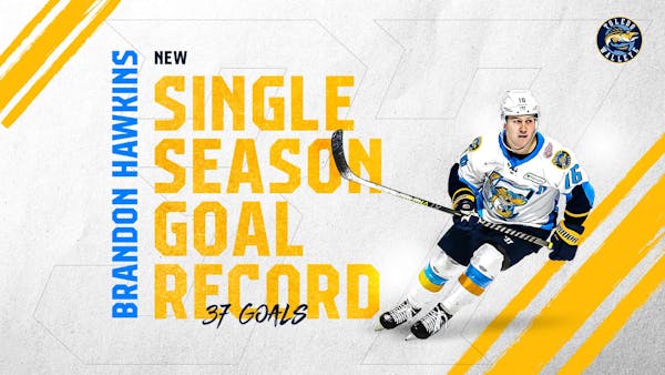 Toledo reenters win column as Hawkins sets new Walleye record