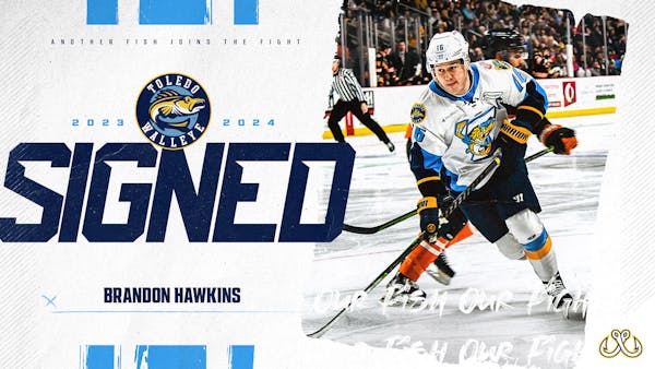 Forward Brandon Hawkins returns to Toledo for third straight season